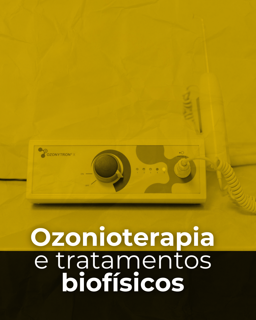 Sem nome (500 x 500 px) (5)