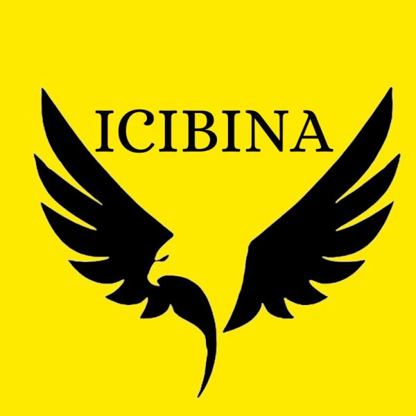 LOGO ICIBINA.jpg